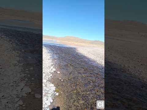 Santiago de Machaca - Anufani  #bolivia #altiplano