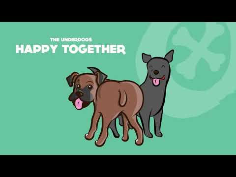 The Underdogs - Happy Together (Original Mix)