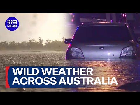 Wild wet weather splashes its way across Australia | 9 News Australia