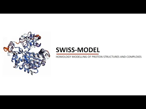 MLT Bioinformatics ( how to make 3D model of protein by using swiss model)