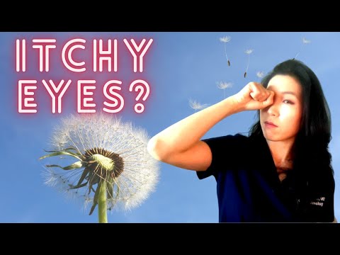 Symptoms and Treatment of Eye Allergies | What You Can Do During Seasonal Allergy Season!