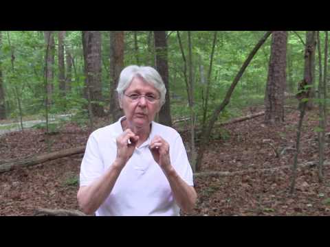 Quick Tip 60 - Hand Tools