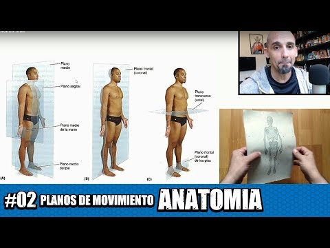 Planes of motion, axes and torque in anatomy (with exercises)