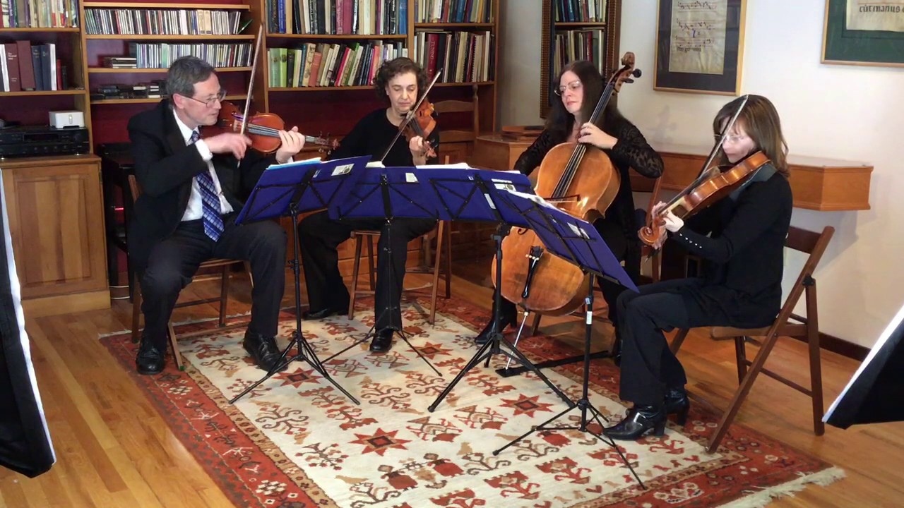 Promotional video thumbnail 2 for Continuo  Music