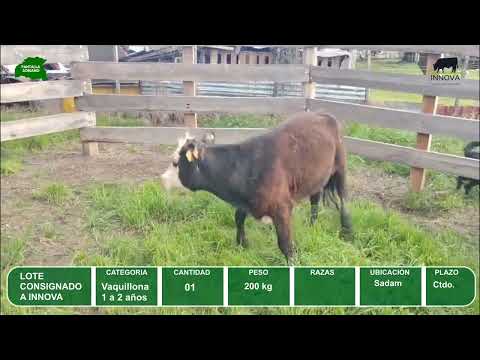 Video del lote L0-000869