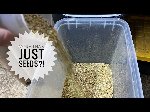 What I feed my aviary birds!