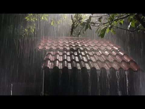 Deep Sleep Instantly with Heavy Rain & Roaring Thunderstorm Sounds on Tin Roof in Forest at Night