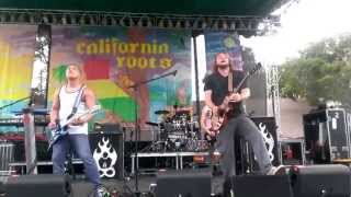 Passafire Cali Roots V 2014 Souvenir