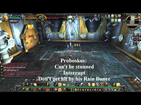Brawler's Guild Guide (rank 4 to 7)