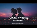 Falak Dekhun || 2022 Slowed And Reverb || Lofi Song || Trending Lofi Music 🎵🎶. #subscribe
