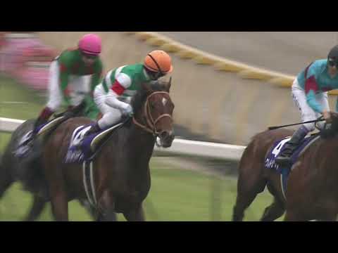 2011 安田記念 (GⅠ) 直線