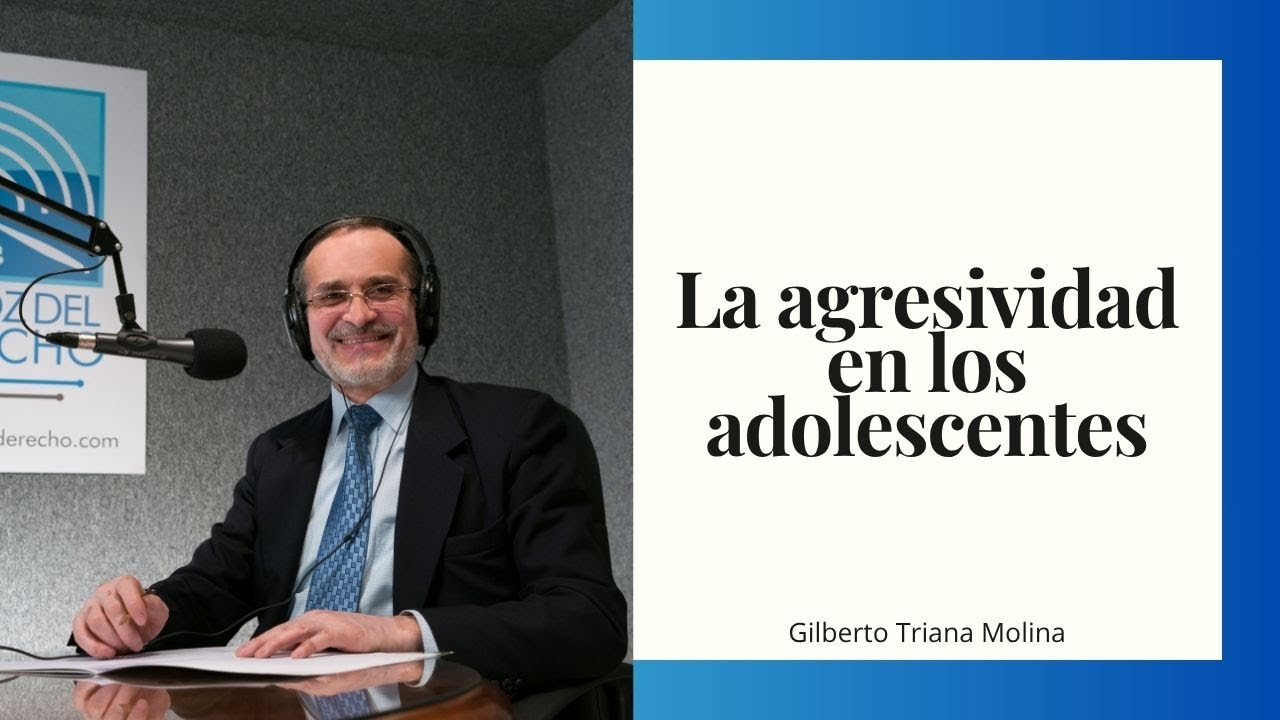 La agresividad en los adolescentes
