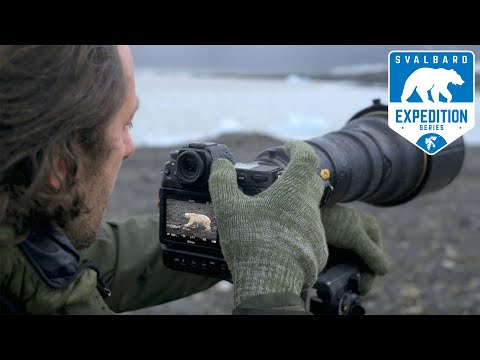 Polar Bear Encounter | NIKON Z9 on Svalbard - Ep.5