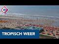 Dronebeelden: mensen genieten van strand in Noordwijk - OMROEP WEST