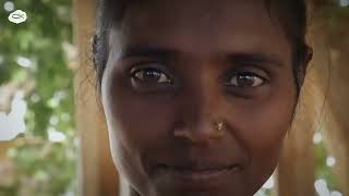 A perseguição Cristã na janela 10/40.