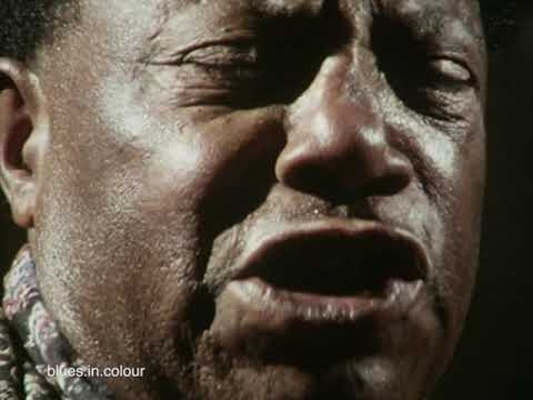 Bukka White - Aberdeen Mississippi Blues live 1976