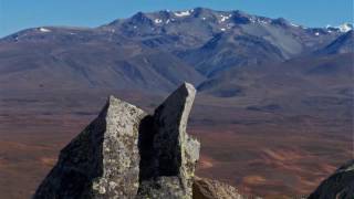 NZ   Amazing Grace   Judy Collins