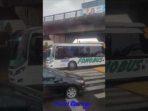 FONO BUS / CAR COR / SARMIENTO / Cuor kids / Intercordoba / Colonia Tirolesa / COATA / GRUPO FAM