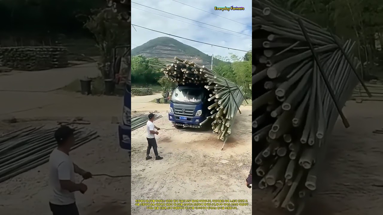 트럭에서 대나무를 효율적으로 하역하는 방법