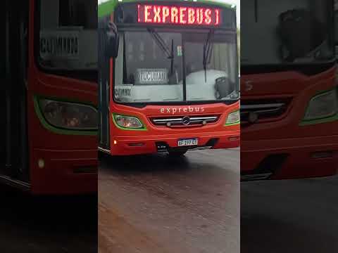 Linea Exprebus Tucumán
