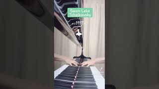 Download lagu Swan Lake - Tchaikovsky 🎏 白鳥の湖 - チャイコフスキー no.3 mp3