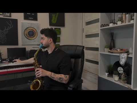 Lily was here - Andoo Sax Cover