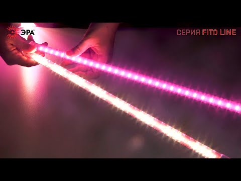 Миниатюра изображения товара Светильник для растений ЭРА FITO-3х10W-LINE-Ra90 / Б0049315