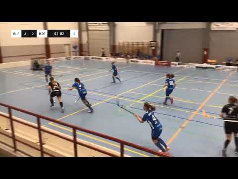 Blue Fox - MIG Salibandy maalikooste - sammandrag 1.11.2020