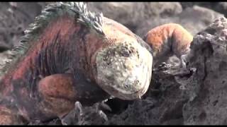 HÍREK A TERMÉSZETBŐL