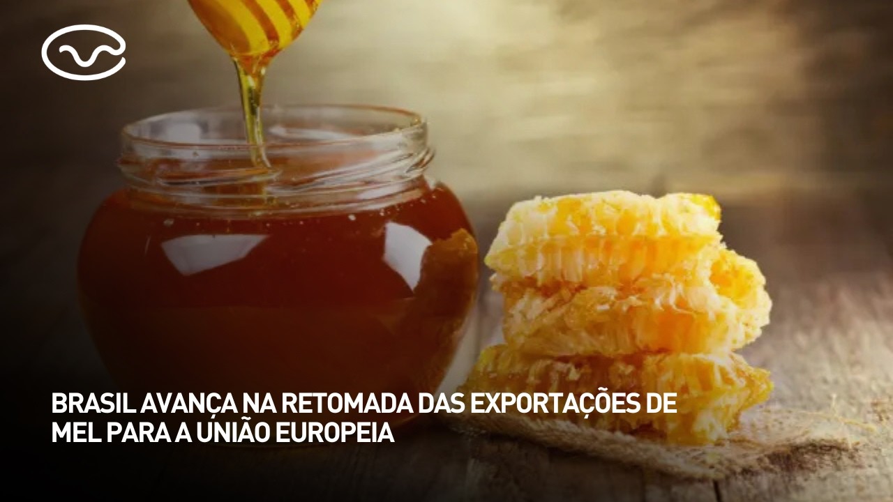 Brasil avança na retomada das exportações de mel para a União Europeia