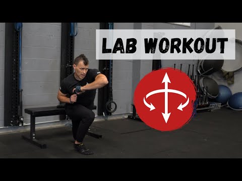 The Lab Workouts: Foundation Series - Lower Body / Squats