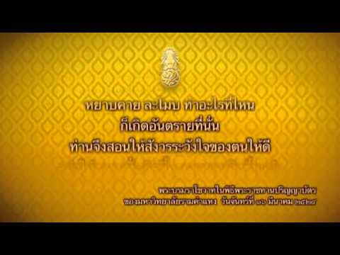 เพิ่มสมาชิกในศาสนาอิสลาม Maxim เชื้อโรคเพศหญิง