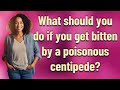 What Should You Do If You Get Bitten By A Poisonous Centipede