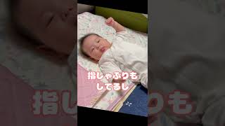メリーでリラックスなうちの子#shorts