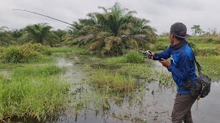 Download lagu BERBURU IKAN GABUS..! KELUAR DAERAH MENCARI SPOT CASTING YANG POTENSIAL mp3