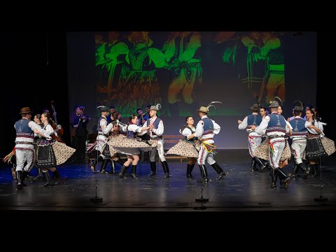 FS Borievka - Akademický Zvolen 2024