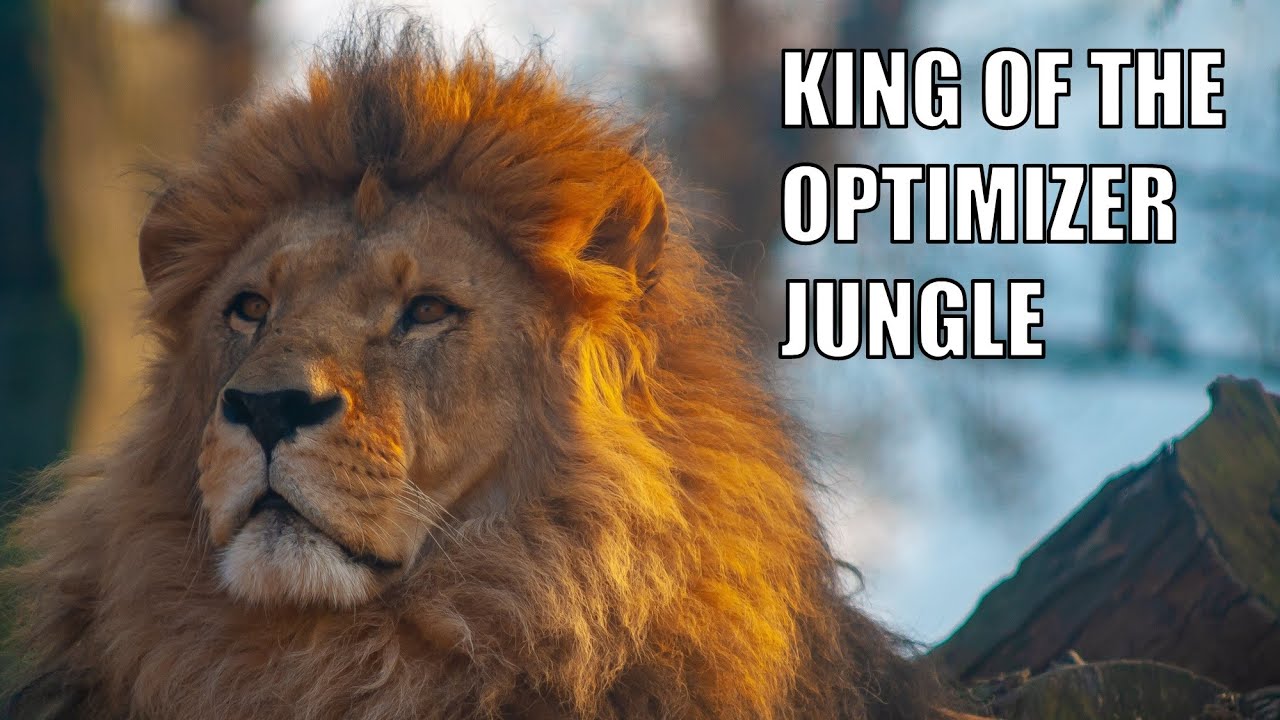 The optimizer HINT that rules them all!