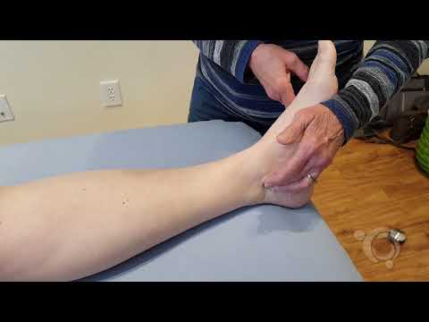 Pulses - Vascular Test | Klose Training