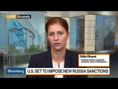 U.S. Policy on Russia Driven by News Cycle, Says Teneo's Dhand