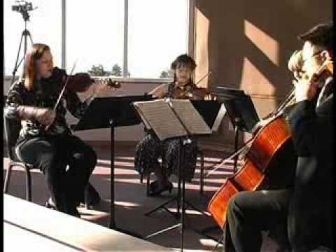 Promotional video thumbnail 4 for Bay Area All Strings & Brass