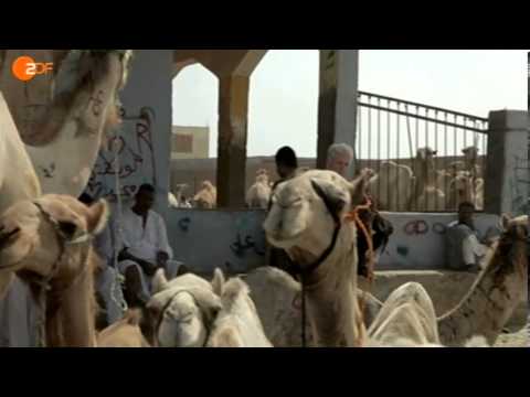 Terra X - Expedition in der Wüste