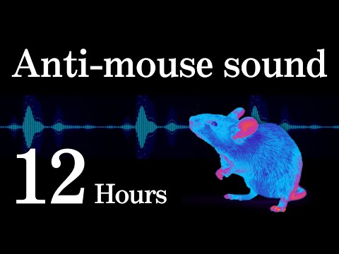 Anti-mouse sound | Rest easy with a mouse-free night | 12 Hours