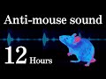 Anti Mouse Sound Rest Easy With A Mouse Free Night 12 Hours
