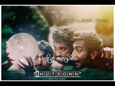 Nadagamkarayo theme song #sara #sudda #kawadiya #nadagamkarayo_theme_song #nadagamkarayo