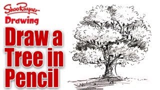 learn to draw a tree in pencil