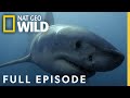 Deep Water Death Match (Full Episode) | Predator Fail