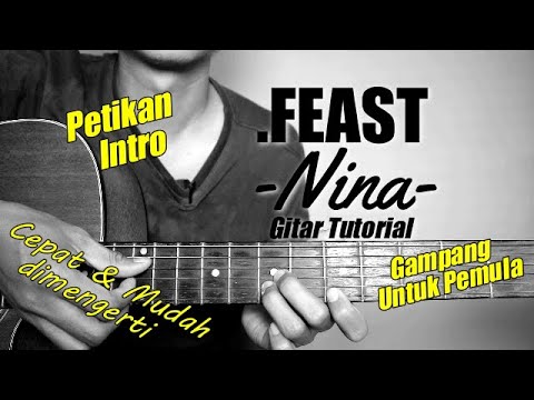 (Guitar Tutorial) INTRO EXCERPT .FEAST - NINA | Easy & Quick to understand for beginners