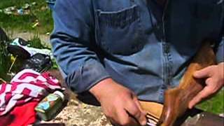 Cooey/Winchester 410 Stock Re-Finshing