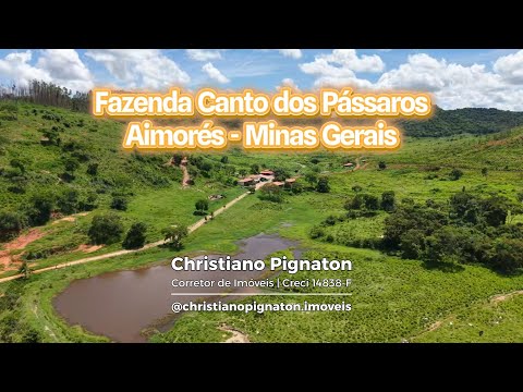 Fazenda Recanto do Pássaros  Aimorés - Minas Gerais