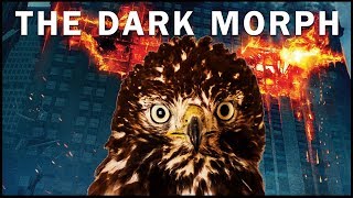 The Dark Morph Red Tailed Hawk | Rescue, Recovery and Back to the Wild!